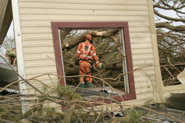  , USA Tree Removal Pros